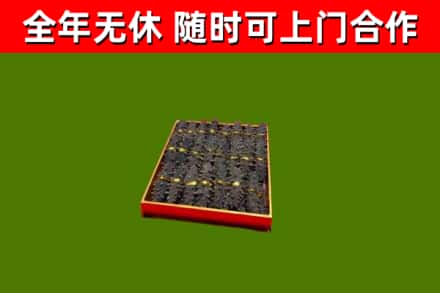 绿园区回收海参